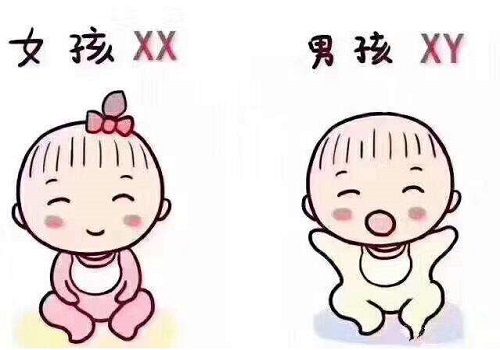 试管婴儿医院排名最好是哪一个